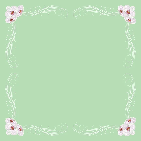 Delicate frame with orchid flowers — Stock Vector