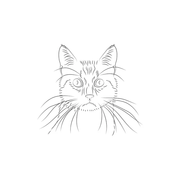 Cabeza de gato . — Archivo Imágenes Vectoriales