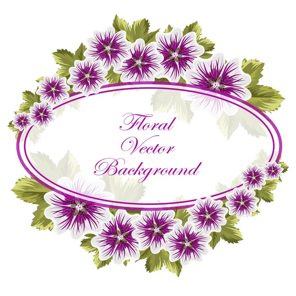 Prachtige florale achtergrond met mallows — Stockvector