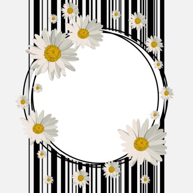 Papatya ile yuvarlak çerçeve
