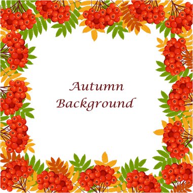 Sonbahar yaprakları ve meyveleri ile çerçeve.