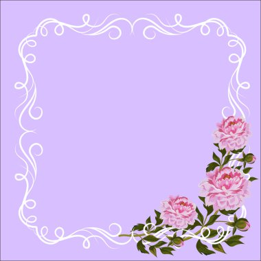 Curl dekorasyon ve pembe peonies Vintage çerçeve.