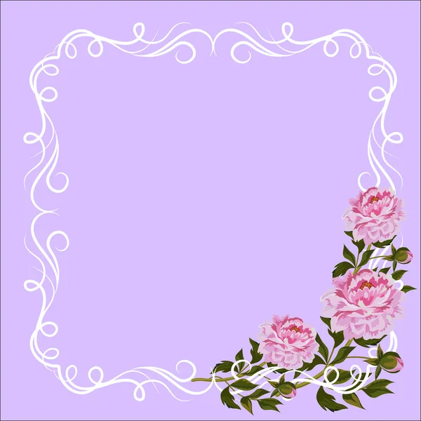 Cadre vintage avec décoration bouclée et pivoines roses . — Image vectorielle