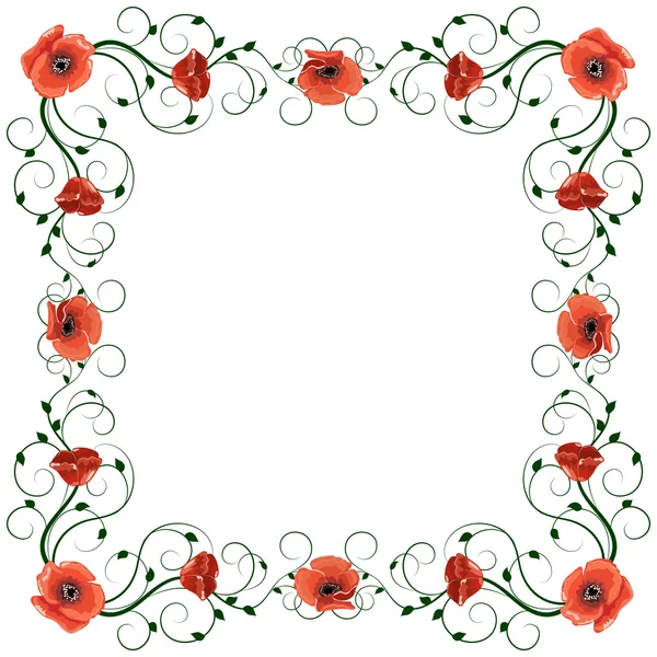 Delicate frame with red poppies isolated on white background. — Stock Vector