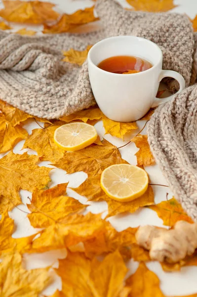 Jesienna martwa natura z białą filiżanką herbaty, ciepłym szarym szalikiem i kolorowymi żółtymi liśćmi z imbirem i cytryną. Selektywny nacisk na kubek, płytki. — Zdjęcie stockowe