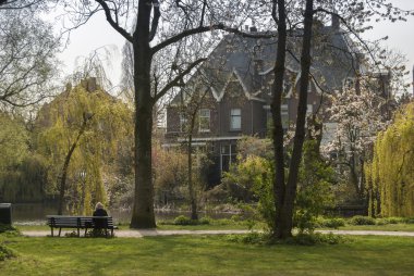 Amsterdam'da Park. Hollanda