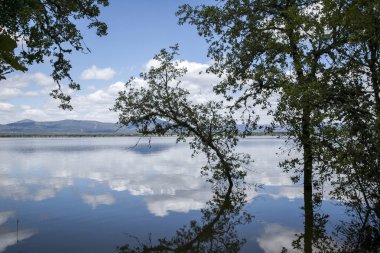Ciudad içinde gerçek manzara. Yumuşak odak. İspanya.