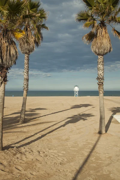 Grande colpo lungo di un palo bagnino in spiaggia e palme in — Foto Stock