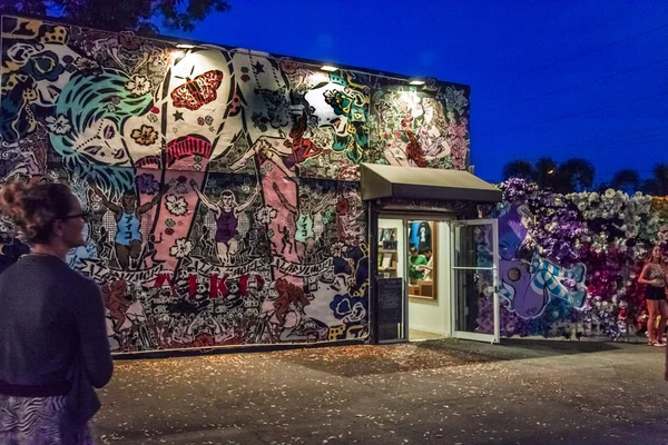 Wynwood Sanat District gece sanat duvar resimleri. Miami