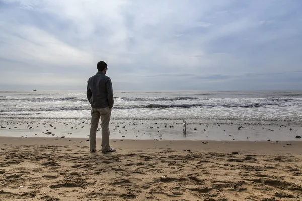 Adam köpeğini Jack Russell terrier ile oynamak