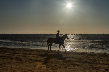 Sunset bulvarında bir binici atlı siluet ile deniz kıyısı.