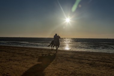 Sunset bulvarında bir binici atlı siluet ile deniz kıyısı.