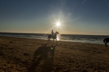 Sunset bulvarında bir binici atlı siluet ile deniz kıyısı.
