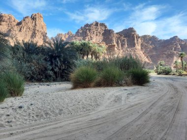 Tabuk 'taki güzel Wadi Disah nefes kesici bir manzara sunuyor. Kızıl kayalıklar ve turistleri taşıyan araçlar bu büyüleyici manzaranın cazibesini artırıyor..