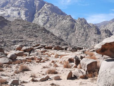 Tabuk 'taki Altın Kaya bölgesinin çarpıcı gündüz perspektifi. Tarihi kırmızı kayalar, parlayan çöl kumları ve berrak mavi gökyüzü birleşerek pitoresk bir manzara oluşturuyor..