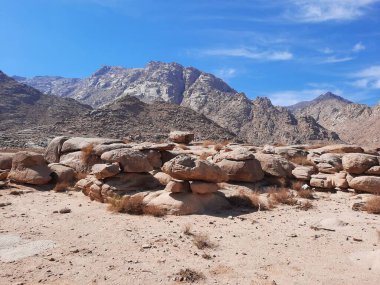 Tabuk 'taki Altın Kaya bölgesinin çarpıcı gündüz perspektifi. Tarihi kırmızı kayalar, parlayan çöl kumları ve berrak mavi gökyüzü birleşerek pitoresk bir manzara oluşturuyor..