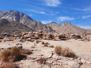 Tabuk 'taki Altın Kaya bölgesinin çarpıcı gündüz perspektifi. Tarihi kırmızı kayalar, parlayan çöl kumları ve berrak mavi gökyüzü birleşerek pitoresk bir manzara oluşturuyor..
