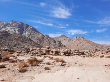 Tabuk 'taki Altın Kaya bölgesinin çarpıcı gündüz perspektifi. Tarihi kırmızı kayalar, parlayan çöl kumları ve berrak mavi gökyüzü birleşerek pitoresk bir manzara oluşturuyor..