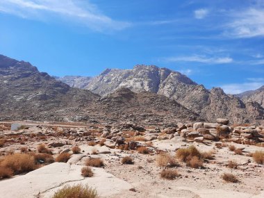 Tabuk 'taki Altın Kaya bölgesinin çarpıcı gündüz perspektifi. Tarihi kırmızı kayalar, parlayan çöl kumları ve berrak mavi gökyüzü birleşerek pitoresk bir manzara oluşturuyor..