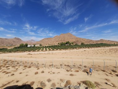 Tabuk 'taki Altın Kaya bölgesinin çarpıcı gündüz perspektifi. Tarihi kırmızı kayalar, parlayan çöl kumları ve berrak mavi gökyüzü birleşerek pitoresk bir manzara oluşturuyor..