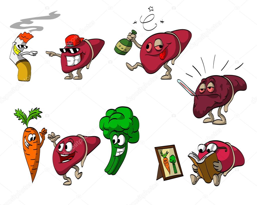 Cartoon Liver Set — Stock Vector © philllbg 96738430