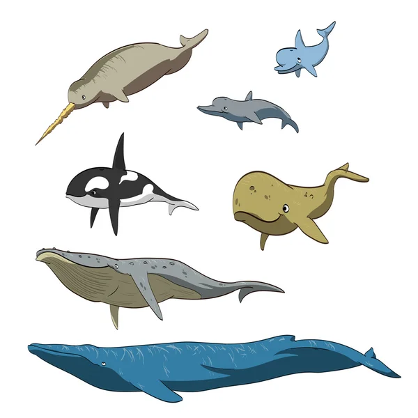 Collection de baleines à dessin animé — Image vectorielle