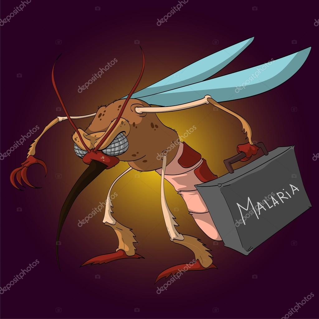 Vector Cartoon Mosquito. Stock Vector Image by ©philllbg #98513718 Vector Cartoon Mosquito. Stock Vector Image by ©philllbg #98513718