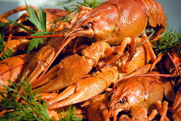 Crayfishes ile çanak