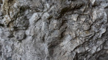 Karmaşık bir yakın plan, doğal gri kaya yüzeyinin pürüzlü ve yaşlanmış dokusunu ortaya çıkarır. Temel dayanıklılığını ve zamansız jeolojik kalıplarını vurgular..