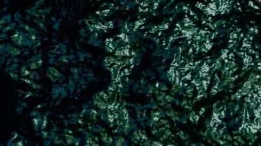 Derin Yeşil Soyut Organik Akışkan Hareket Grafikleri 4K Görüntü Dinamik sıvı yüzeyi ya da dingin ve doğal arkaplanlar için parıldayan yansımalar