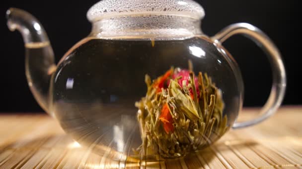 Florescence of Red Blooming Tea — Stock Video