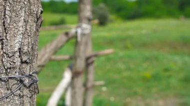 Çit kırsal bir yaz gününde