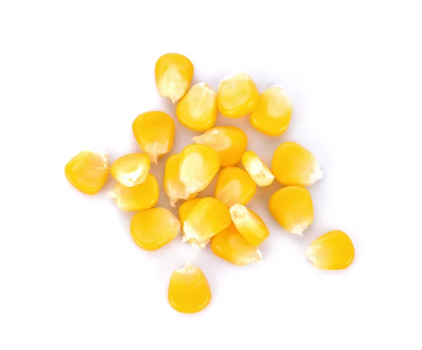 beyaz arkaplanda izole mısır