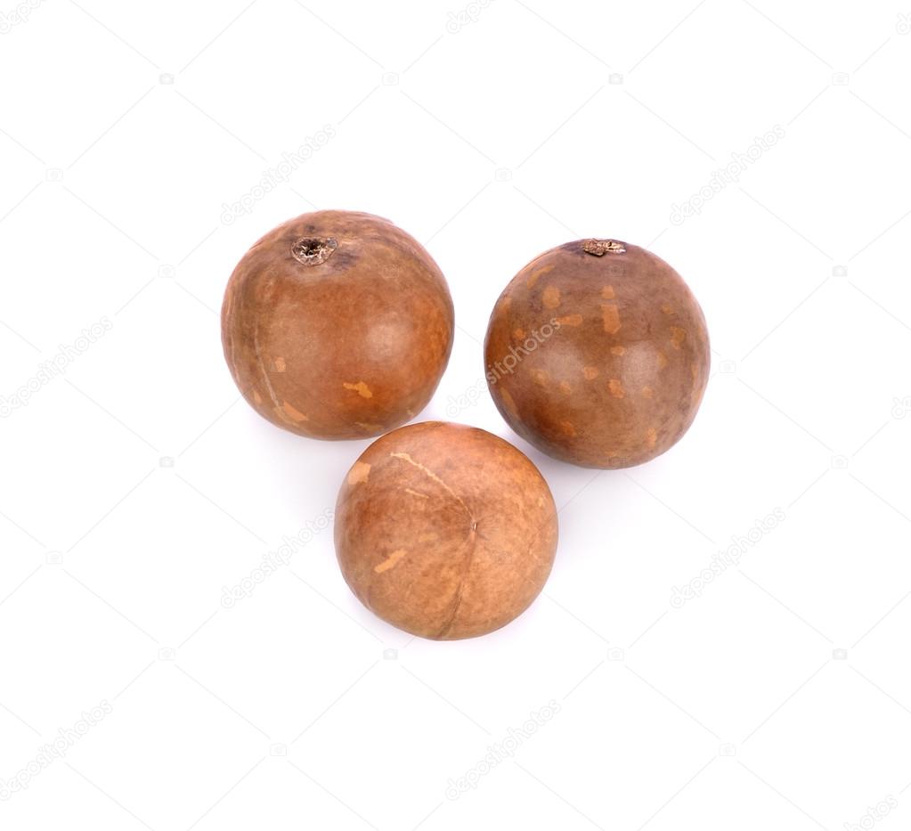 macadamia nuts on white background