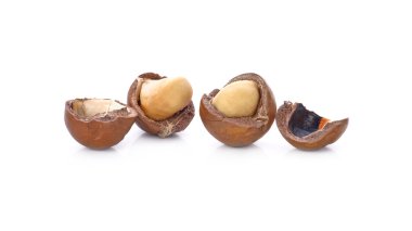 Beyaz arka planda Macadamia fındıkları
