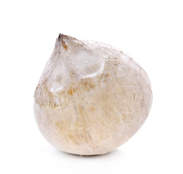 흰색 바탕에 구운된 영 코코넛 — 스톡 사진