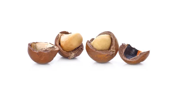 Nueces de macadamia sobre fondo blanco —  Fotos de Stock