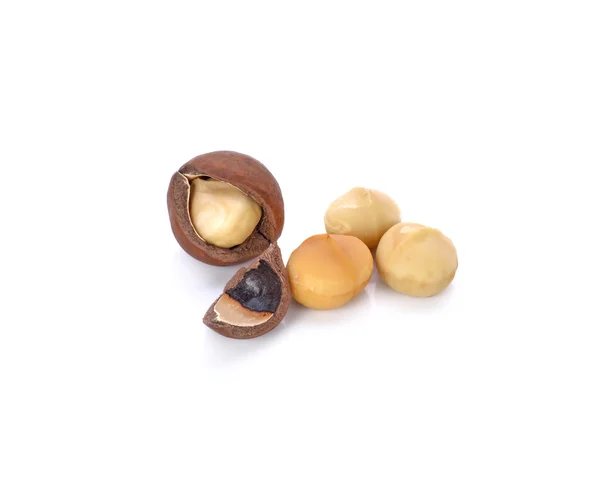 Nueces de macadamia sobre fondo blanco —  Fotos de Stock