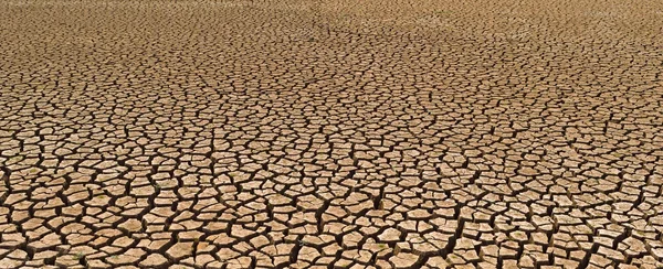 kırık ve çorak toprak