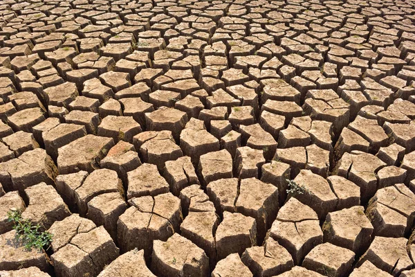 Terre fissurée sèche fond — Photo