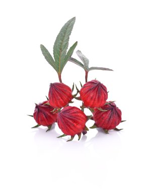 Beyaz arka planda Hibiscus Sabdariffa veya Roselle meyveleri