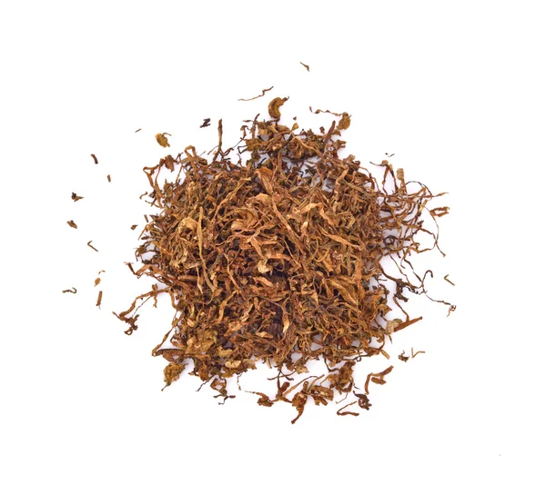 Tobacco isolated on a white background — Stock Photo, Image