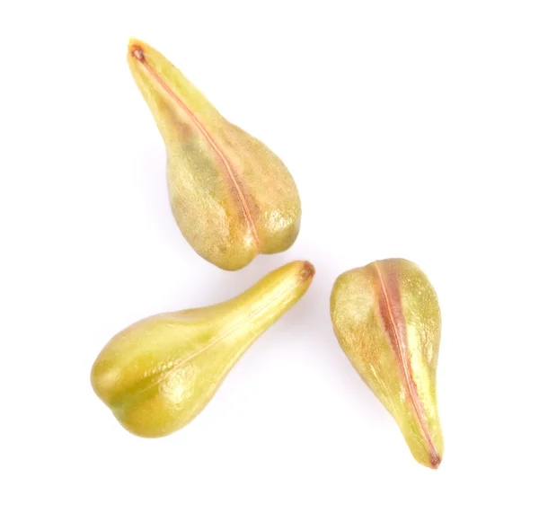 beyaz zemin üzerinde üzüm çekirdeği