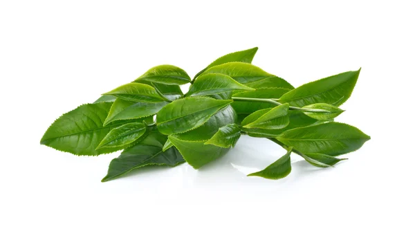 Grünes Teeblatt isoliert auf weißem Hintergrund — Stockfoto