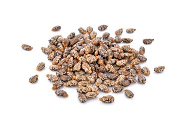 Castor seeds on white background clipart