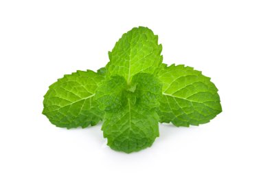 Beyaz arkaplanda izole edilmiş taze çiğ nane yaprakları