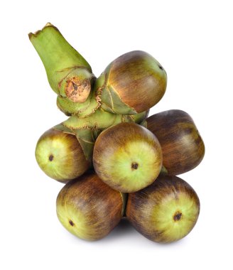 Palmyra beyaz arka plan üzerinde izole palm (Toddy palmiye)