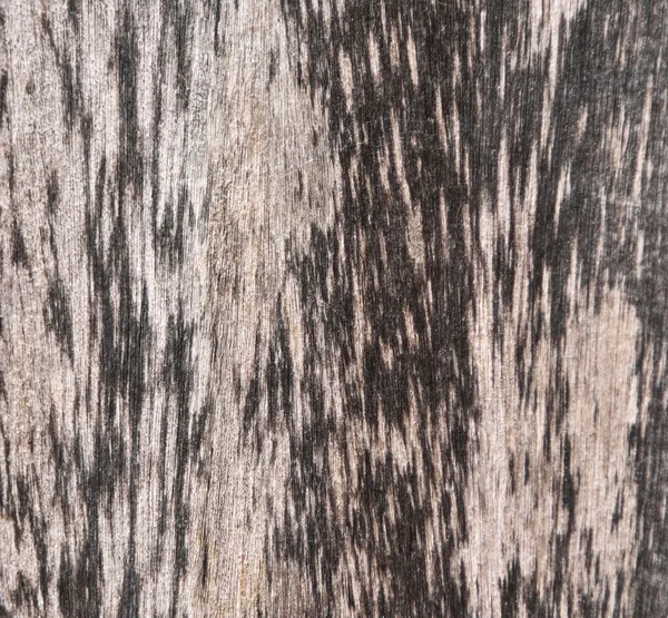 Pavimento in legno fondo vecchio — Foto Stock