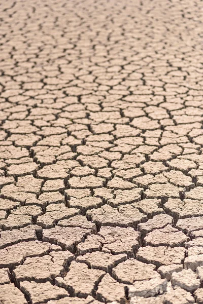 Cracked and barren ground — Stock Photo, Image