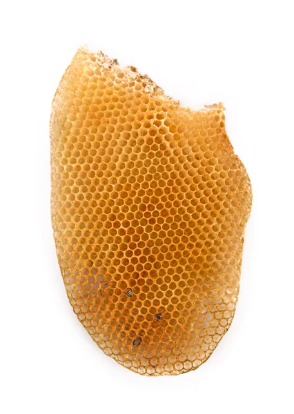 Beyaz arka plan üzerinde petek